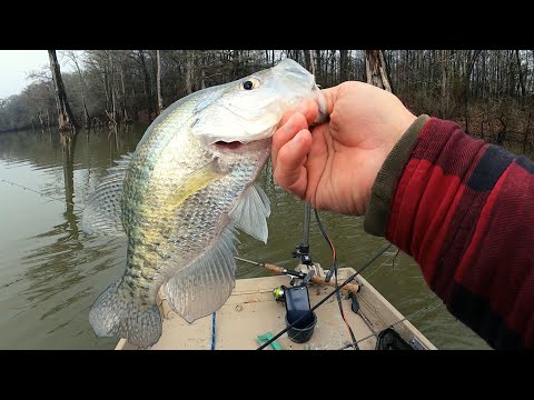 Crappie fishing 