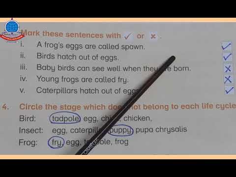 2nd term K 3 Science Lecture#4 Unit#4 The Life Cycle of Animals Book