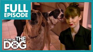 Can Victoria Stop This Dog From Destroying the House | S4 E5 | It's Me Or The Dog