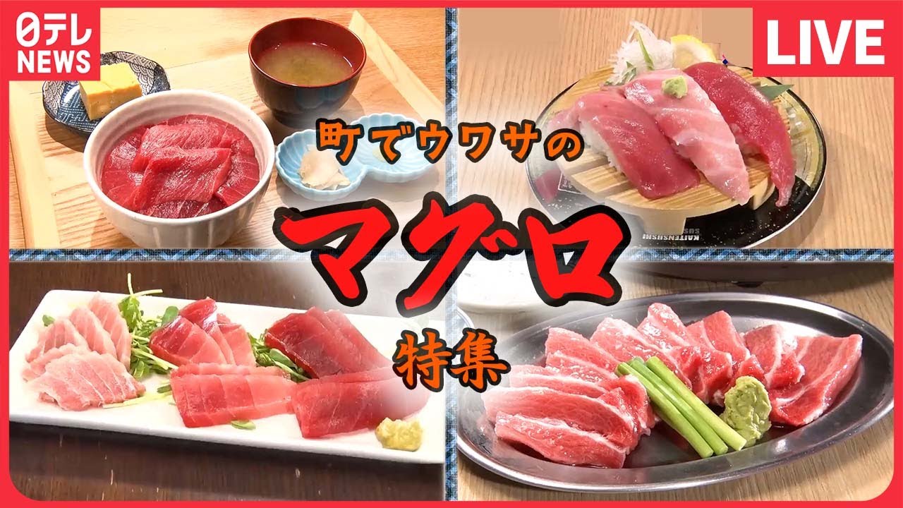 【マグロ大集合】魚市場でマグロ食べ放題/国産本マグロ中トロ握り/マグロ料理専門の鉄火丼 など - YouTube
