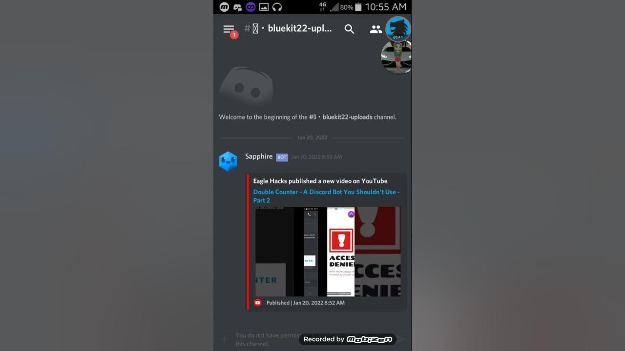 Subscrybe bot shutting down what are our alternatives for youtube