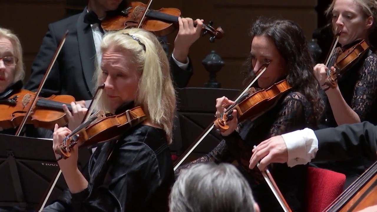 Serenade for Strings | Dvořák | Netherlands Chamber Orchestra | Concertgebouw