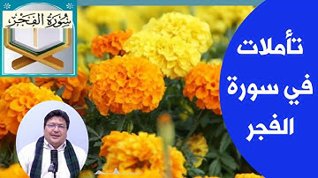 تاملات في سورة الفجر وفضلها في تيسير الامر والفرج والرزق ... مع د طيب كريبان