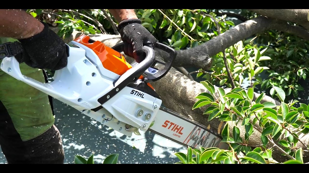 STIHL MSA 300 】最新！高性能！バッテリーチェンソーの紹介。高木伐採