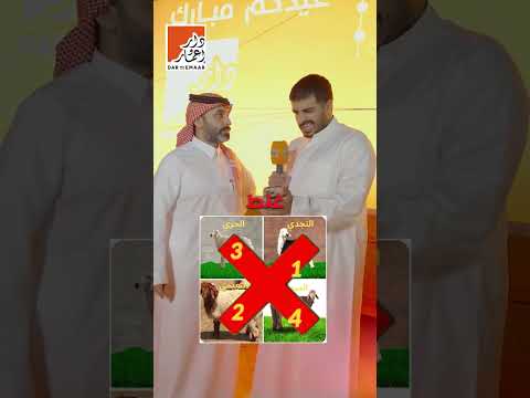 تحدي اسعار الخرفان أضاحي العيد