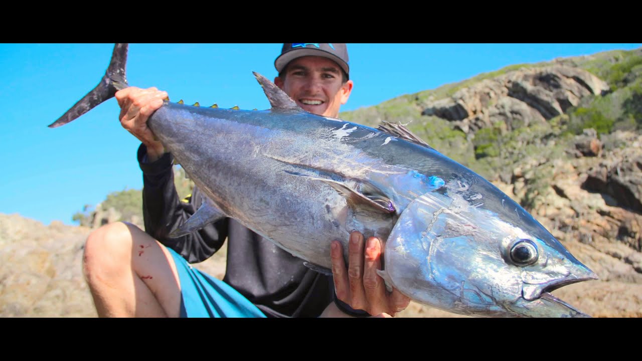 Sight casted blue fin tuna Landbased fishing 