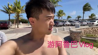 纽约出发无计划阿鲁巴自助游aruba vlog
