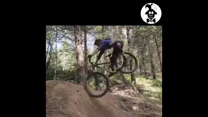 Guy knocks out a tree …. #fails