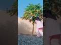 yummy in the morning,,🥰🤭😅#funny #comedyvideos #comedy #trending #shorts