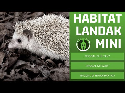 Video: Jenis landak: foto dan penerangan, habitat dan gaya hidup