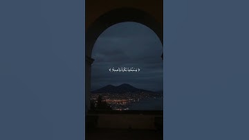 قران كريم بصوت الشيخ ياسر الدوسري {وَكَانَ اللَّهُ بِكُلِّ شَيْءٍ عَلِيمًا} #قران#قران_كريم #اكسبلور