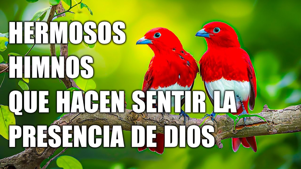 Hermosos Himnos Que Hacen Sentir La Presencia De Dios - Alabanzas Pentecostales De Avivamientos