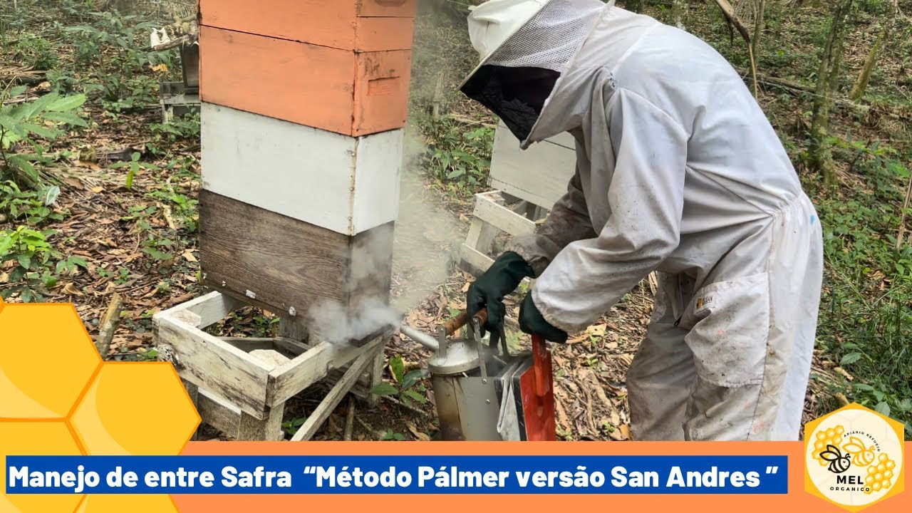 Manejo de entre Safra, aguardando a chegada da Flor do Eucalipto!