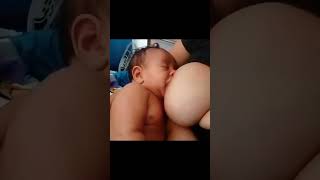 Mom feed babybreastfeeding bobsworld