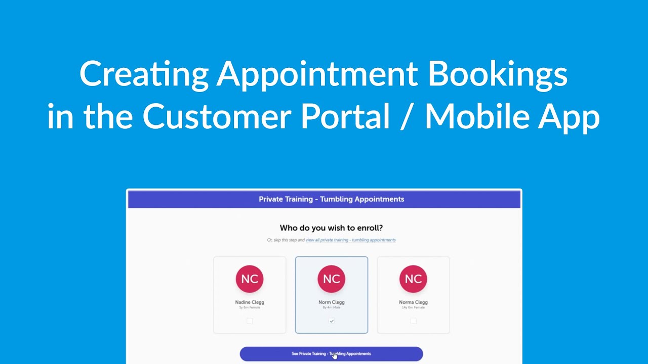 How to book an appointment in SAPA Portal