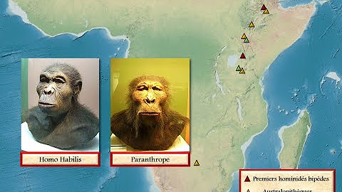 Compilation Hérodote Histoire YouTube