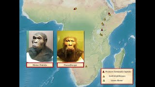 La Préhistoire Dans Le Monde, De 2,2 Millions Dannées À 3300 Av. J.-C. Environ