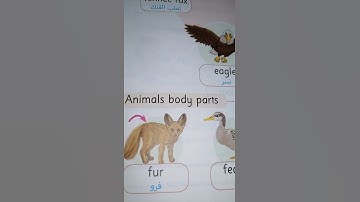 Connect 4 Unit 2 Desert Animals Lesson 1 (2)