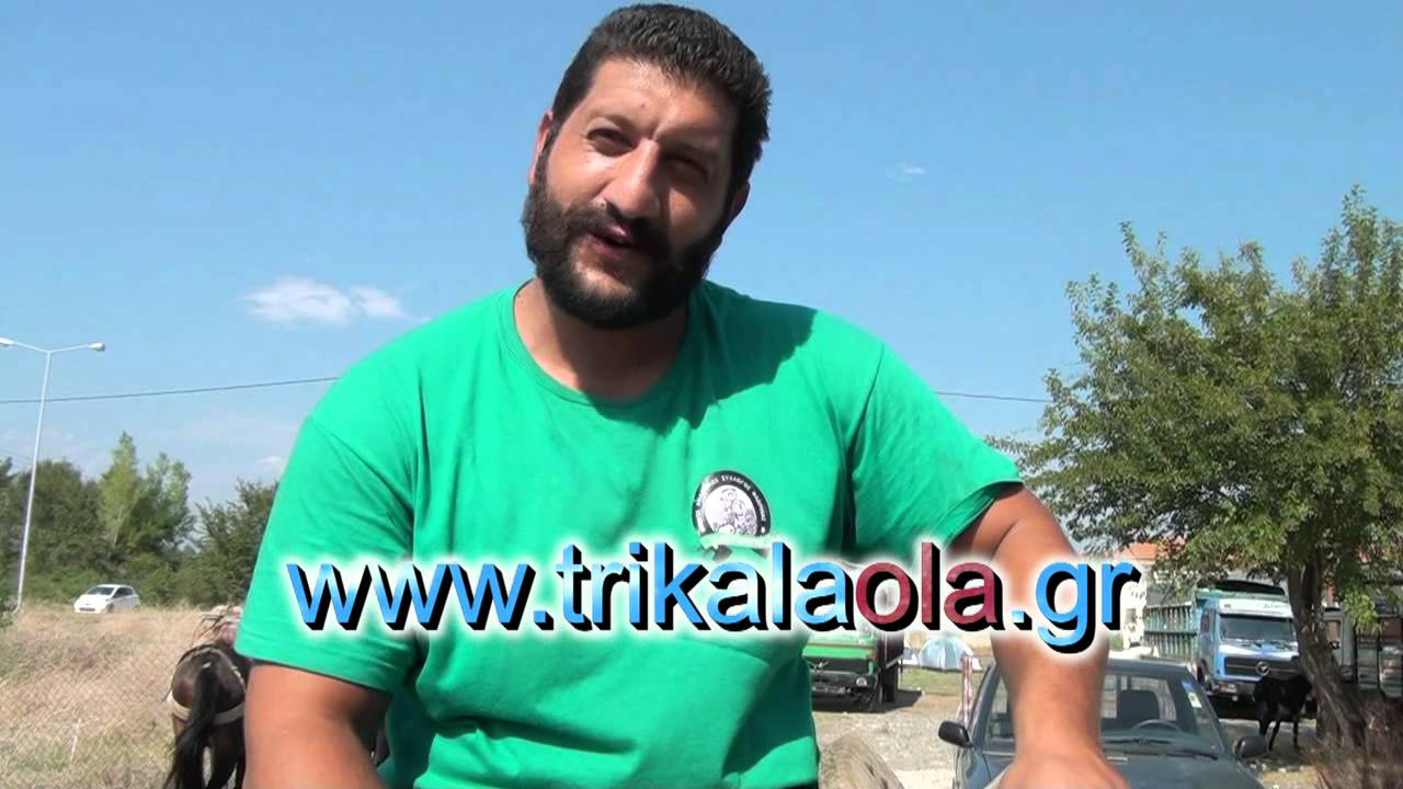 Τρίκαλα ζωοπάζαρο μουλάρια γαϊδούρια άλογα 13-9-12 3ο