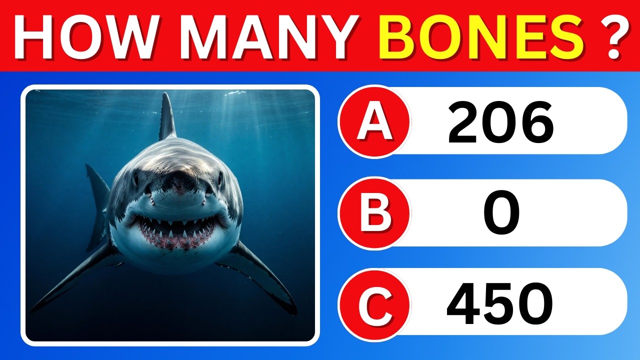 Your IQ Is Impressive If You Pass This 35-Question General Knowledge Quiz 🧠🔥