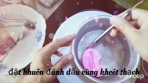 Thạch rau câu 3D - hướng dẫn thả cá chép.