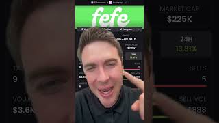 $FEFE Is Holding 225K While Most Meme Coins Die | Pepe Correlation Is Massive