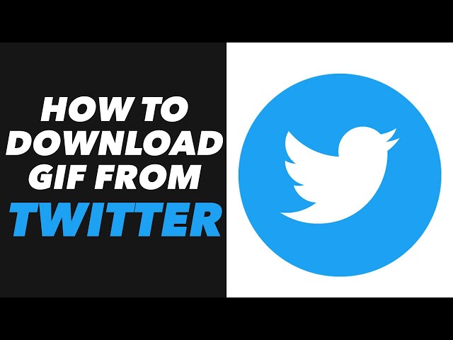 How to Download Gif From Twitter - Gif Download From Twitter App