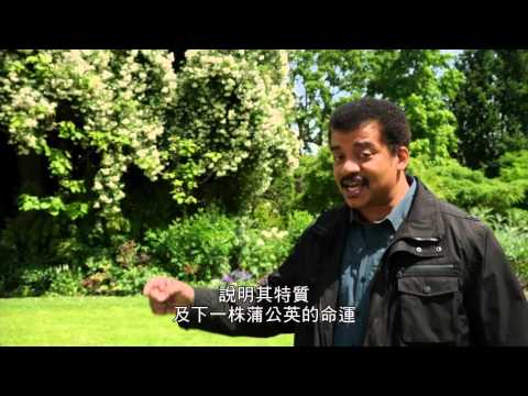 宇宙大探索11：不朽生命