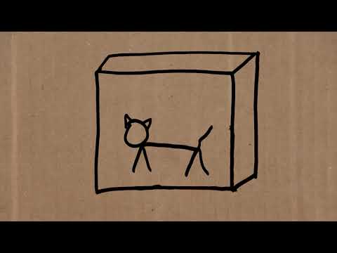 ERWIN'S CAT