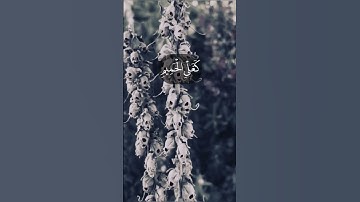 سورة الدخان _ خالد الجليل