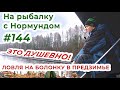 ВО-ПЕРВЫХ, это ДУШЕВНО! Болонская ловля в предзимье / На рыбалку с Нормундом #144