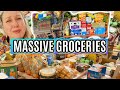 FAMILY OF 11 MASSIVE GROCERY HAUL