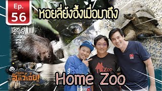 คนรักสัตว์ต้องดู Home Zoo คือโคตรมันส์ - เพื่อนรักสัตว์เอ้ย EP 56 [2/5]