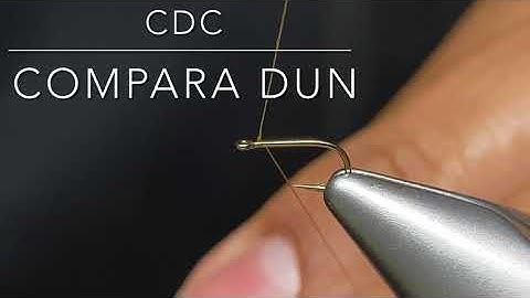 CDC Compara Dun