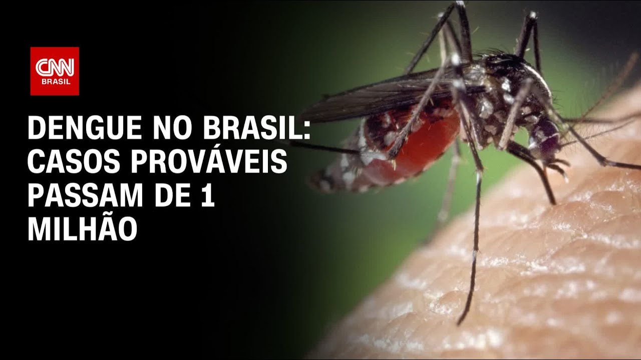 Dengue: Brasil registra mais de 1 milhão de casos prováveis em 2025 | AGORA CNN