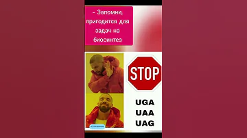 Что такое стоп-кодоны и зачем они нужны