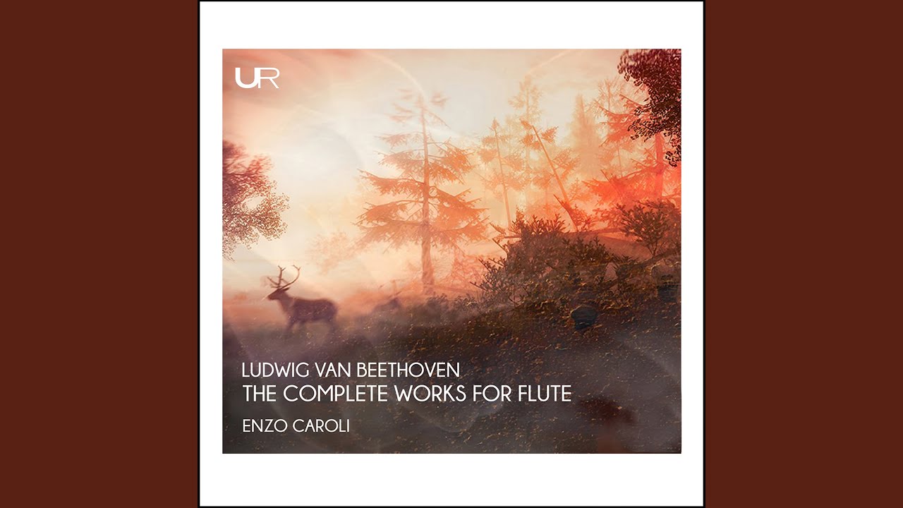 在 YouTube 上观看 10 National Folksongs with Variations, Op. 107 (Version for Flute & Piano) : No. 7, Schöne Minka