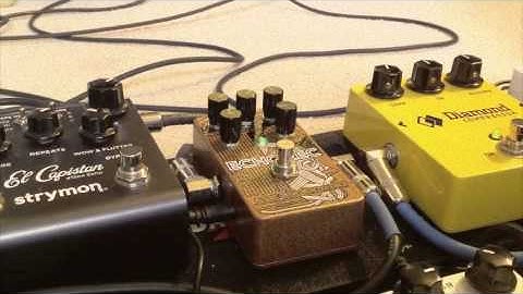 Catalinbread Echorec Demo