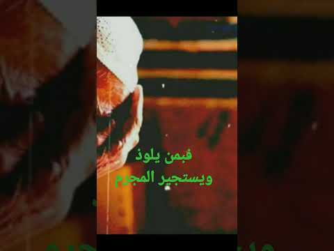 ان كان لا يرجوك إلا محسن فبمن يلوذ ويستجير المجرم