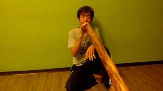 Didgeridoo rhythm 6/8 beat.200417/迪吉里杜