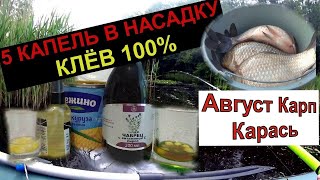 Вся рыба в Августе клюёт на это! Бешаная кукуруза Этот аромат манит всего карпа