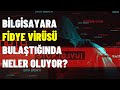 Bilgisayara fidye fidye virs bulatrdk bilgisayarda fidye virs bulatnda neler oluyor