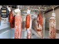 Building a Salami Chamber/Cheese Cave - Easy Step by Step