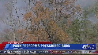 Smokies performing prescribed burns in Cades Cove