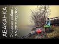Фидерная рыбалка в черте г. Красноярска. Абаканская протока.