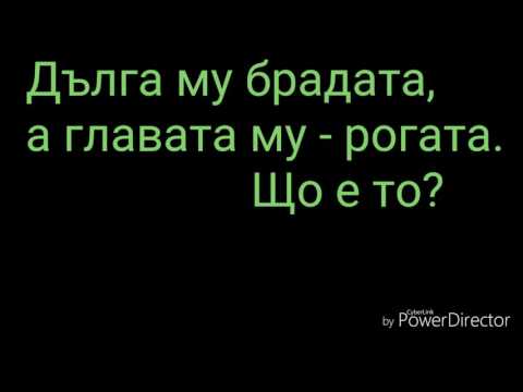 Гатанки за деца