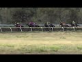 View race 5 video for 2021-12-19