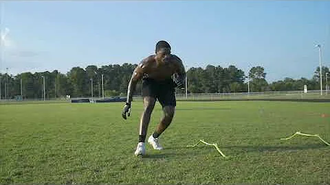Darius Royster MEAC DPOY Pro Day 2020| Edge/Lineba...