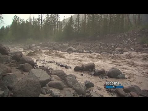 Man swept into