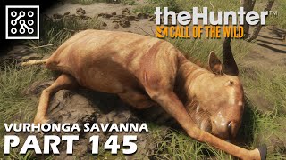 The Hunter: Call of the wild CZ | Zlatý PAKŮŇ ŽÍHANÝ - #145 | Česky